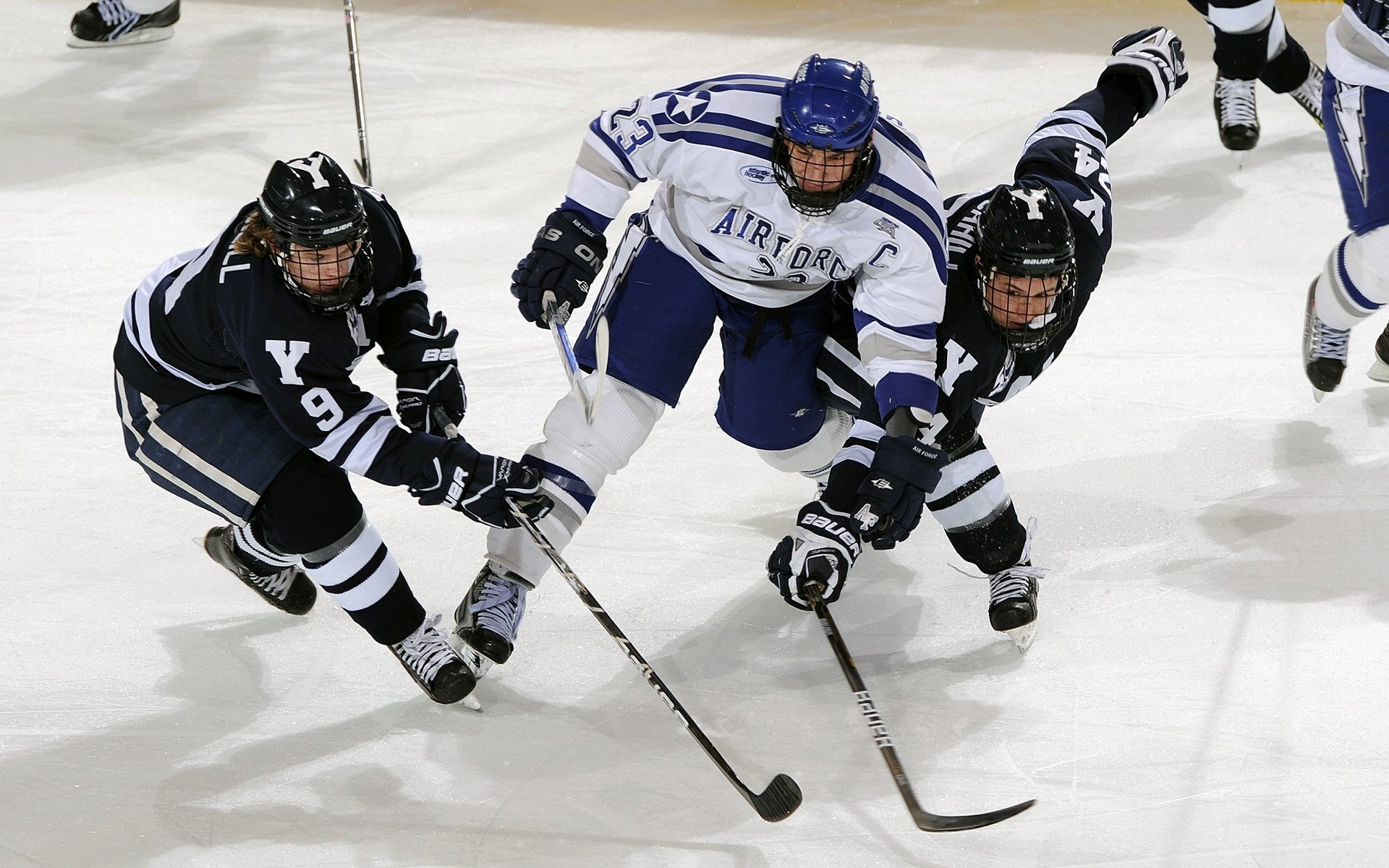 爱游戏官方网站-橄榄球文化进驻博物馆展览，橄榄球大赛
