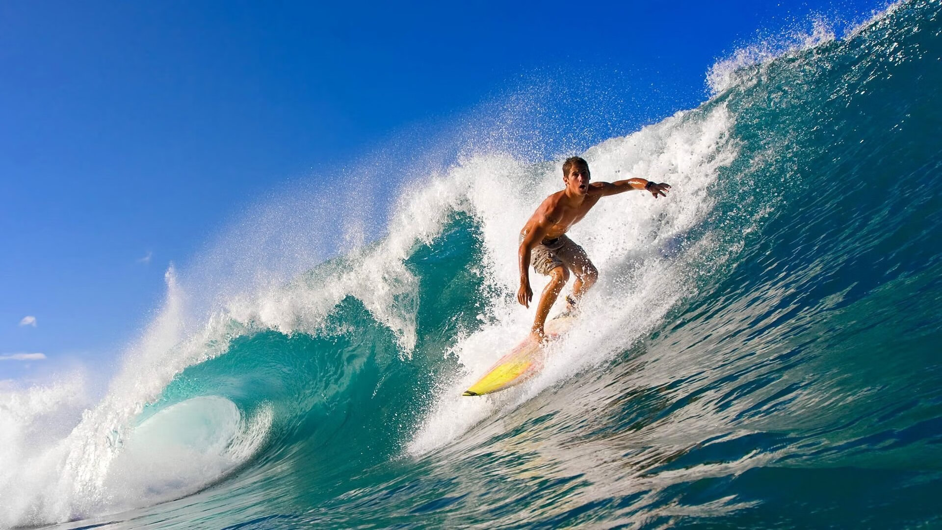 英超最后冲刺:逆境中坚韧不拔的拼搏精神,英超最后两轮分析